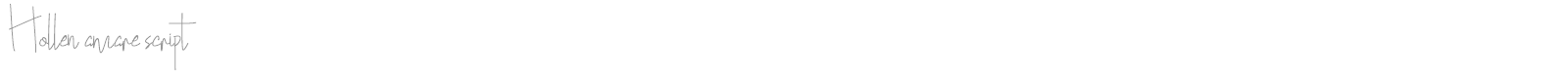 Hollen Amare Script font preview